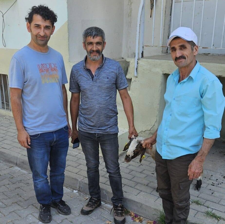 Kapilara Toslayan Kuzunun Sahibi Kupesinden Bulundu 1782454804182 68343