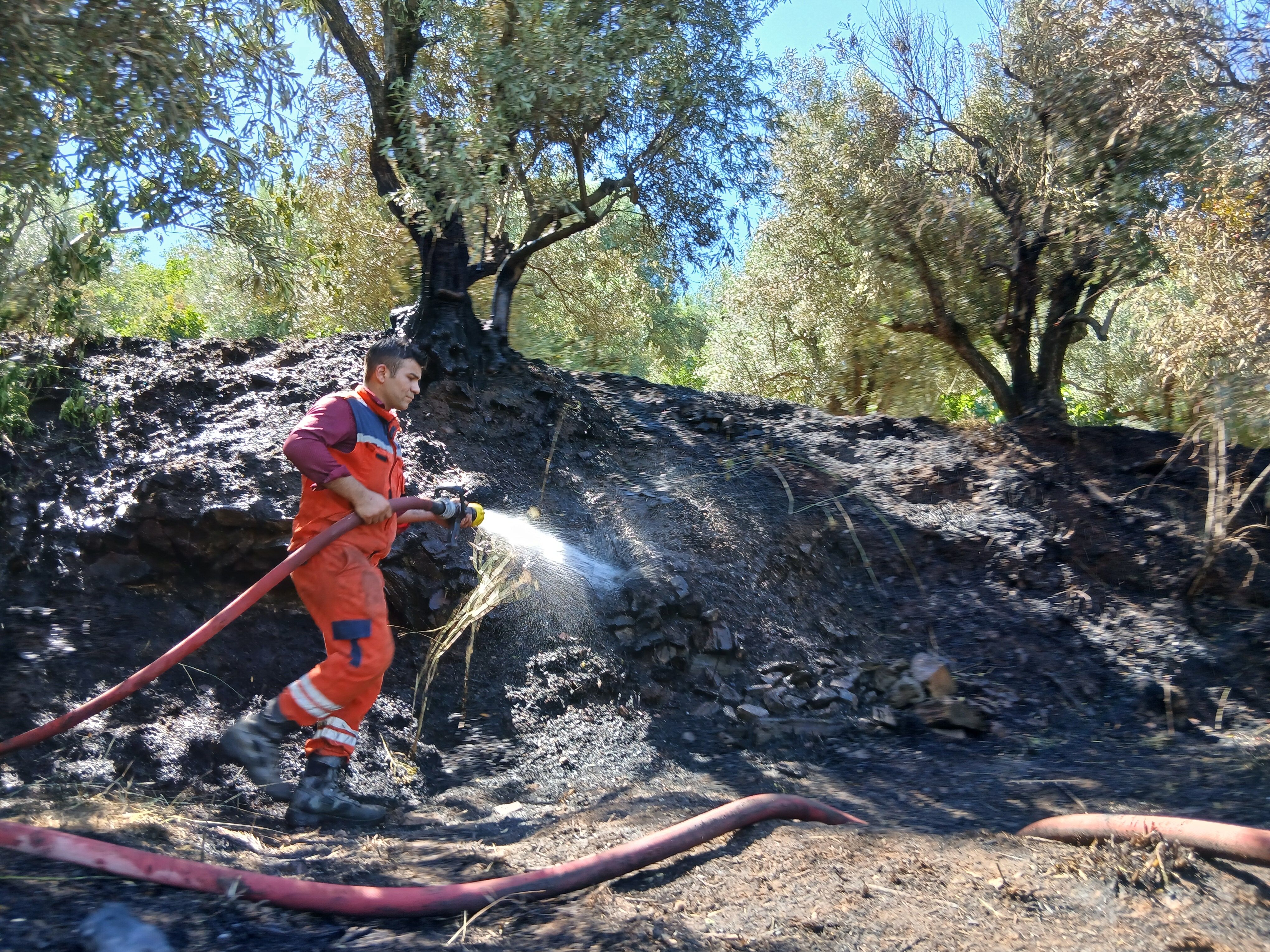 Karacasu Yaylasinda Korkutan Yangin Babadan Kalma 60 Yillik 674191 102Fb6