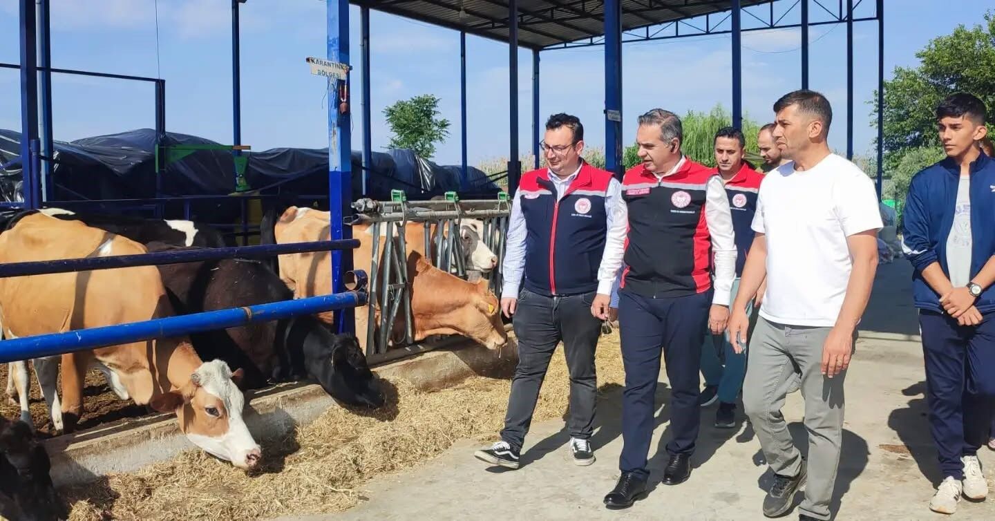 Kirsalda Bereket Hayvanciliga Destek Projesi Ile Aydin Da Uretim Gucu Artiyor 1782111303513 375234