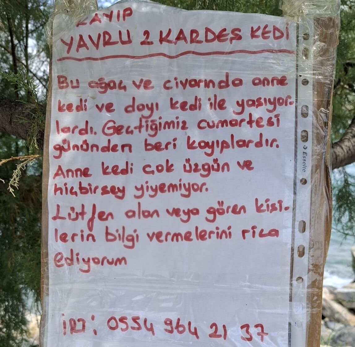 Kusadasi Esnafi Kayip Yavrular Icin Seferberlik Baslatti 671617 12B64E