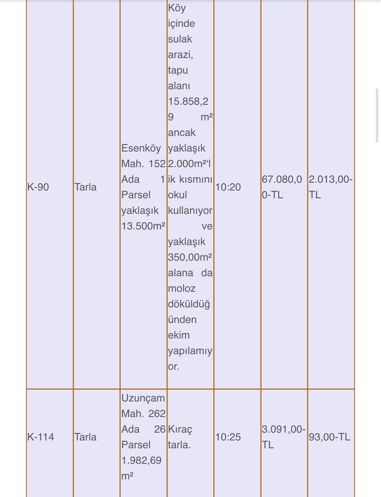 Nazilli Belediyesi 45 Tasinmazi Kiraya Verecek 667914 502881