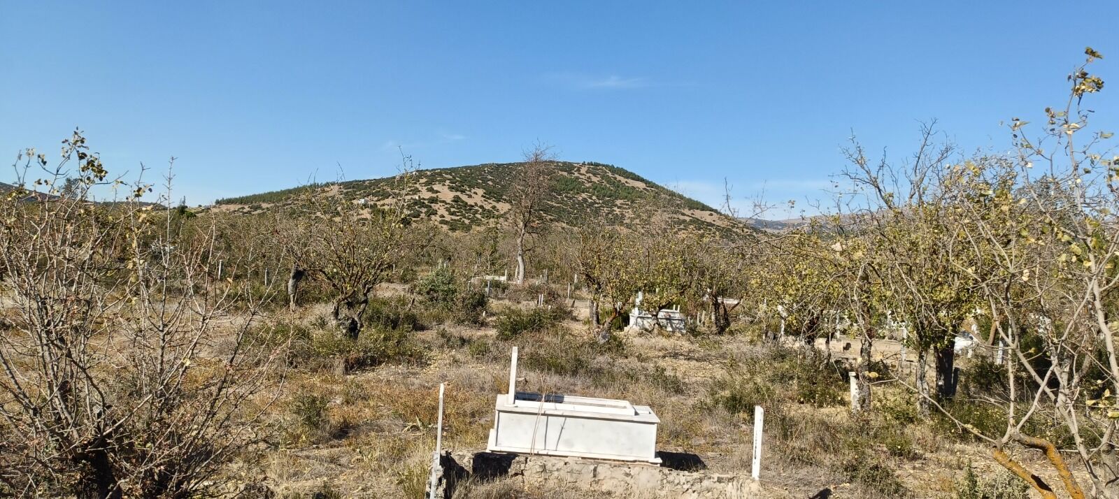 Unesco Mirasinin Yani Basinda Bakimsizlik Tepkisi Geyre Meza 667103 0Fe5F9-1