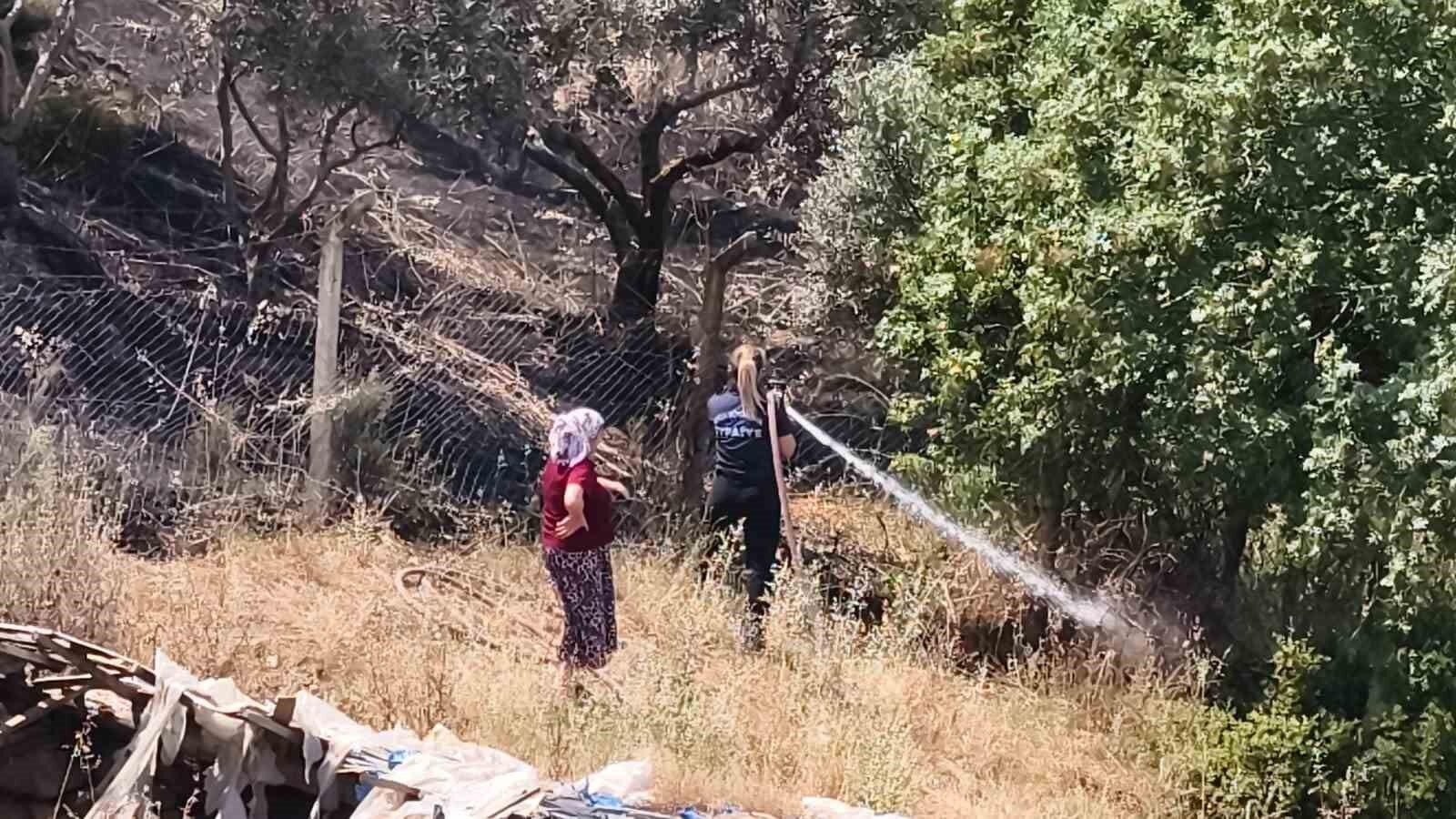 Yenipazar Daki Makilik Yangini Kontrol Altina Alindi 1780404903632 763711