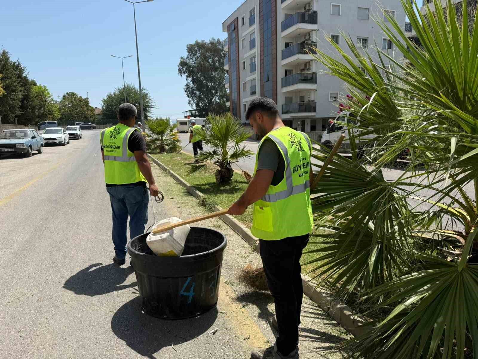 Aydin Buyuksehir Den Cestepe De Park Ve Yesil Alanlara Bakim 1785225606583 738328