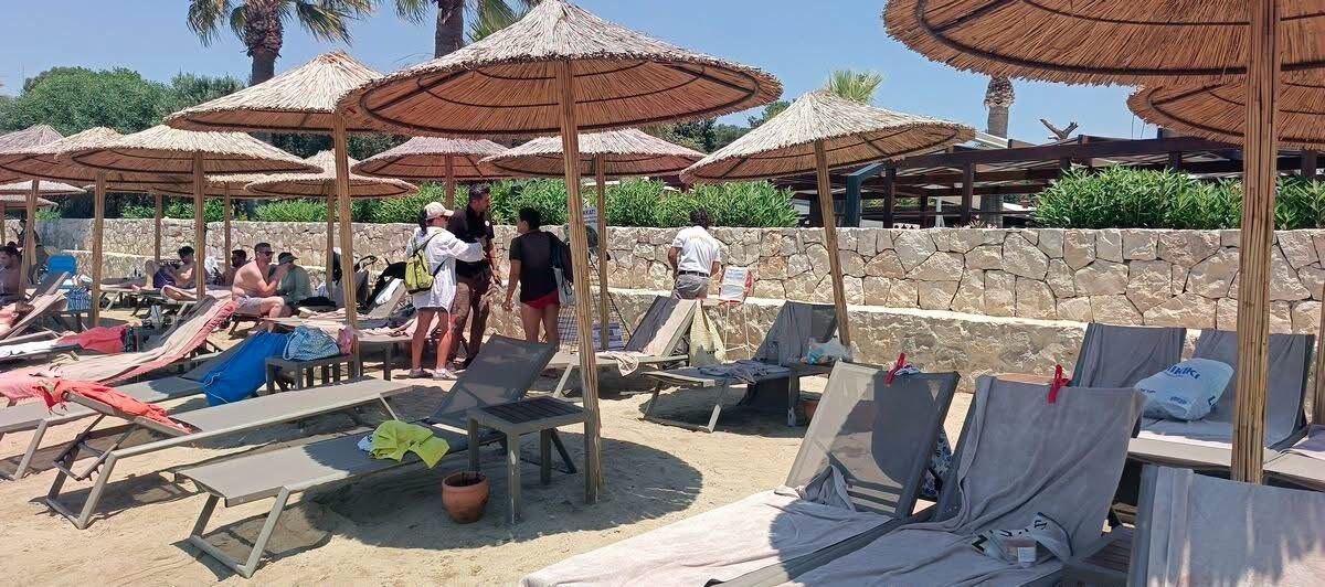 Aydin In Kusadasi Ve Didim Kiyilarinda Caretta Hareketliligi 1783364403167 461056