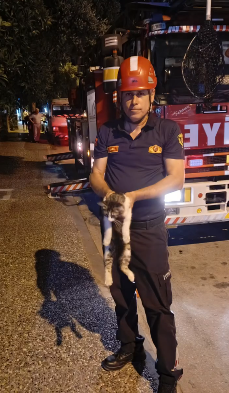 Balkonunda Mahsur Kalan Kedi Kurtarildi 681246 427501