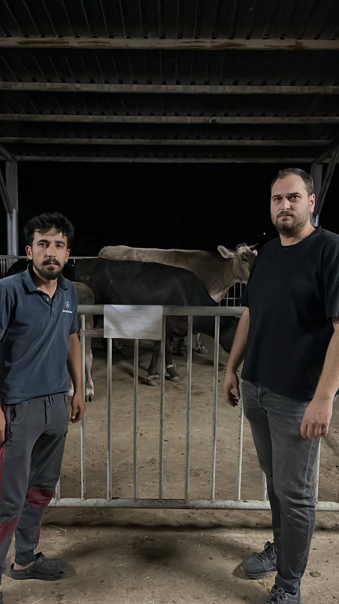 Cinede Veteriner Hekimler Yangindan Kurtarilan Hayvanlar Ici 682858 E1D20B