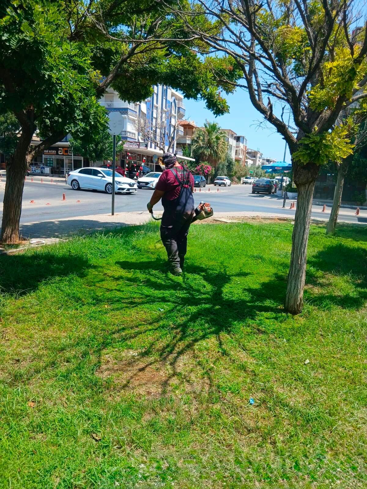Didim Belediyesi Kent Genelinde Bakim Calismalarina Surduruy 682985 4Ff404