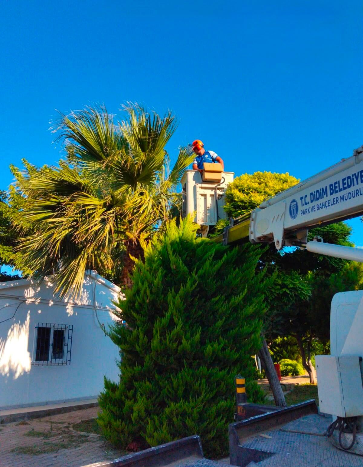 Didim Belediyesi Kent Genelinde Bakim Calismalarini Surduruy 678965 428536