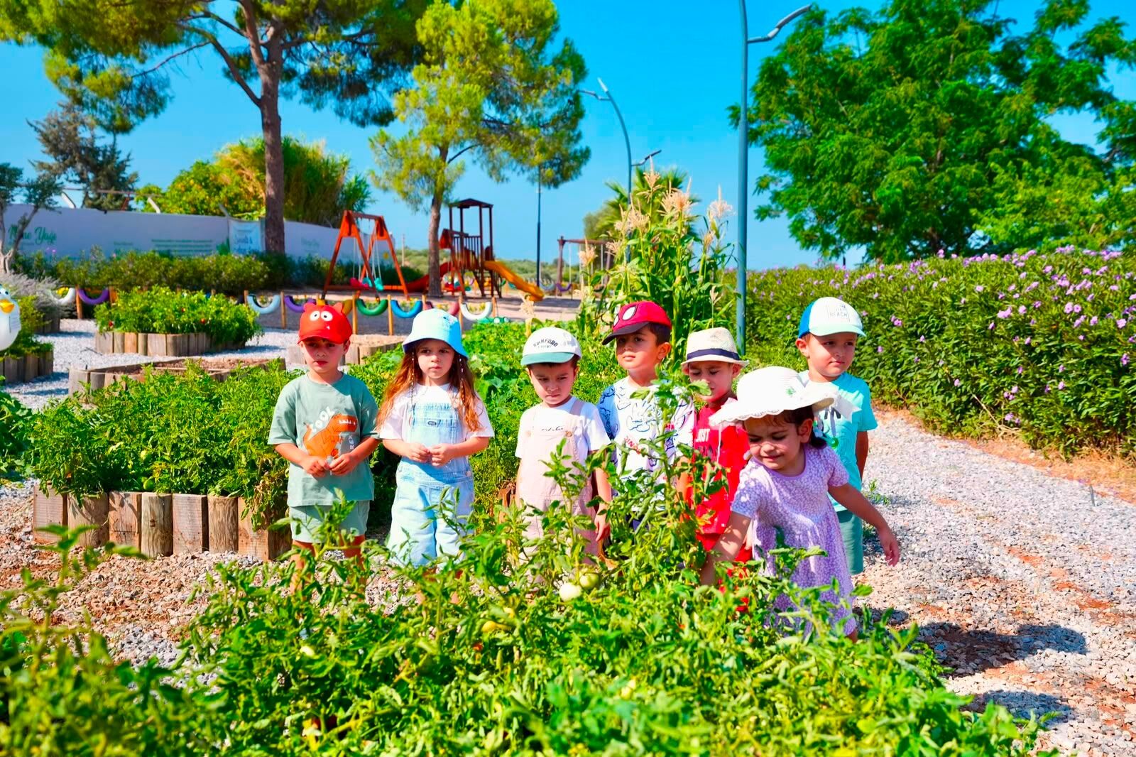 Didim Belediyesi Tarim Parkinda Minikler Hasat Deneyimi Yasa 680978 797Eaa