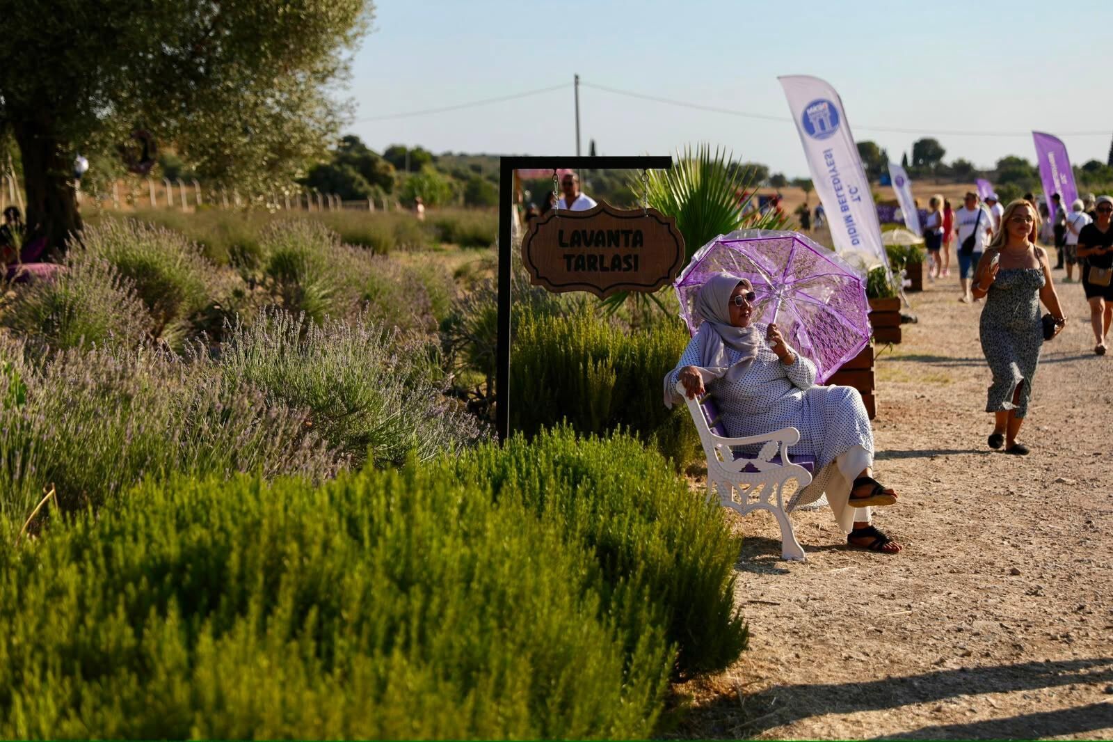 Didim Lavanta Ve Aromaterapi Festivali Sona Erdi 675942 71Fb7E