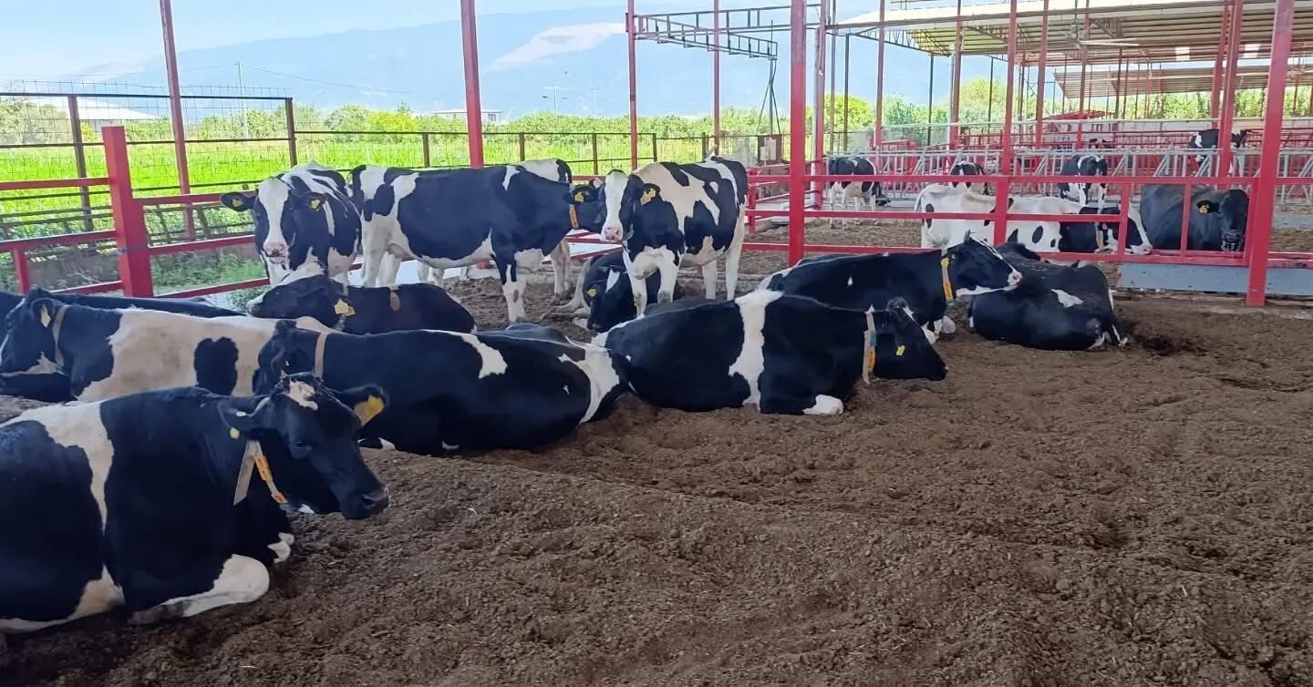 Esat Erguler Ciftliginin Kapilarini Acti Ari Isletmesi Mudur 679517 418C87