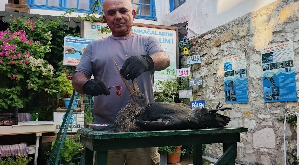 Esma Teyzenin Duyarliligi Bir Cani Kurtardi 681176 67836C