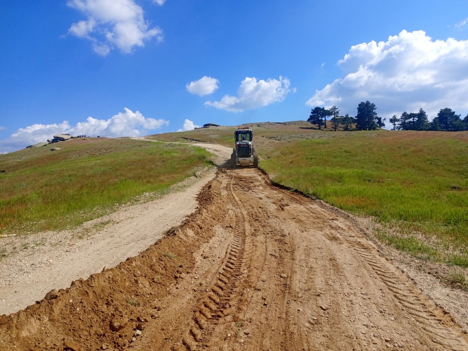I M G 20260701 W A0017