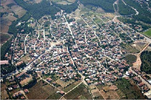 Image-49