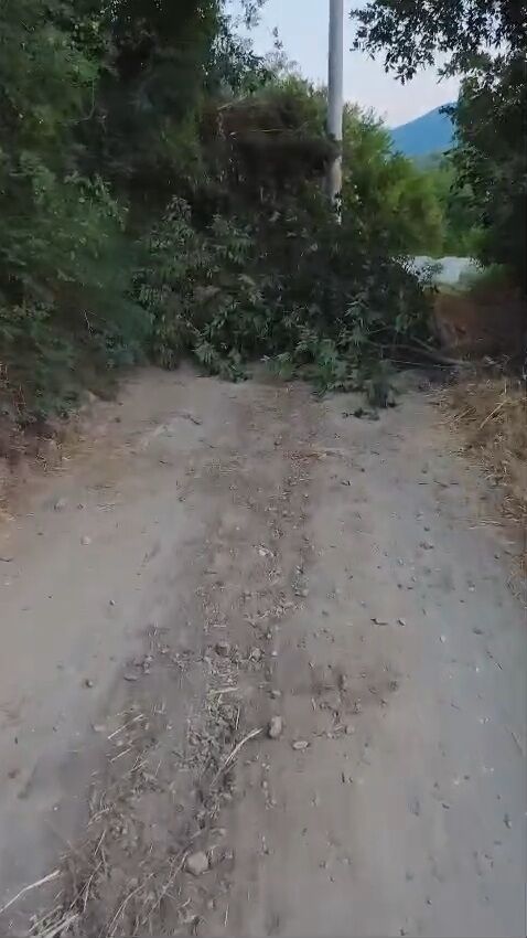 Karacasu Dandalazda Elektrik Bakim Calismasi Yolu Kapatti Va 675595 95B480