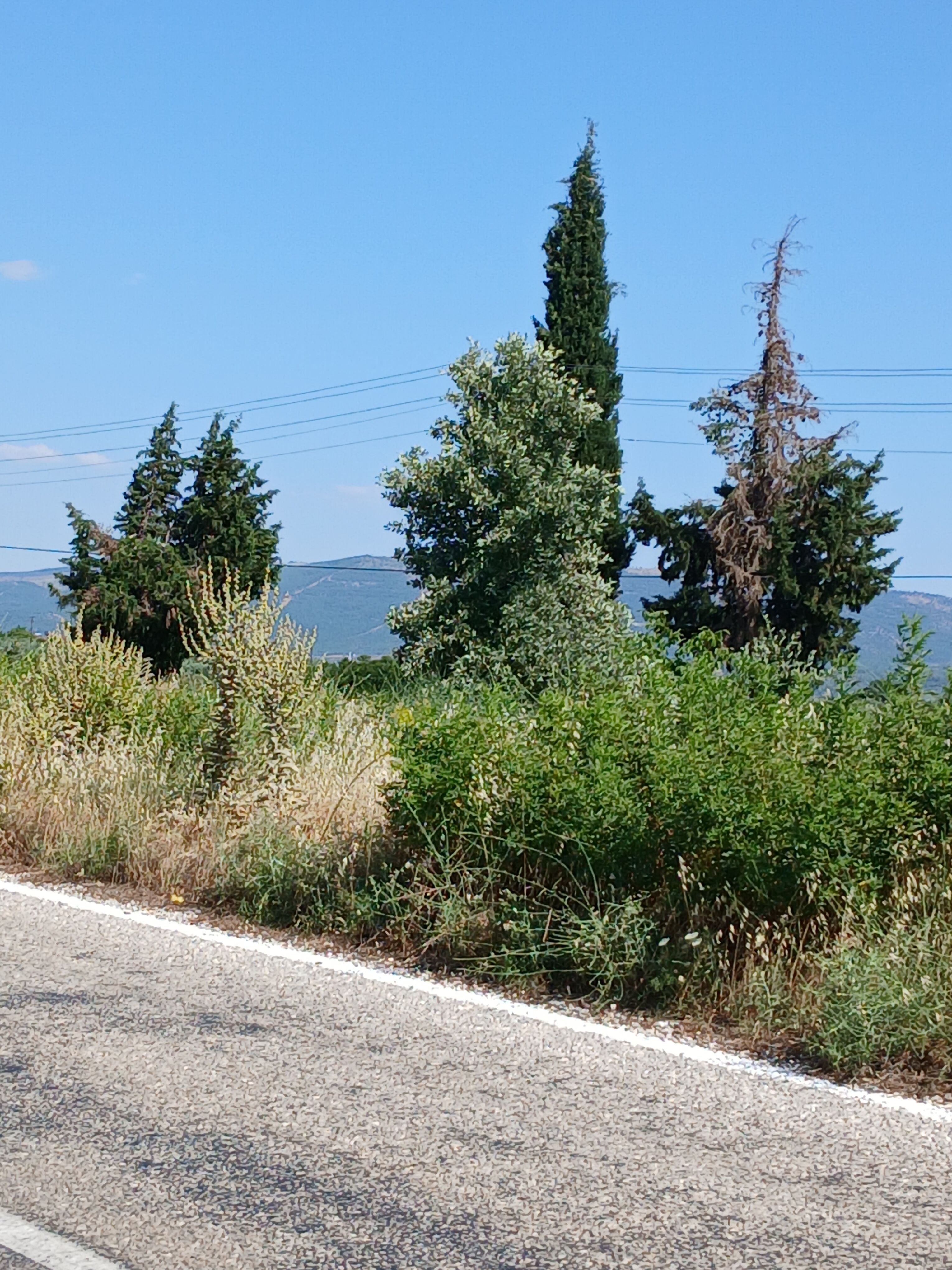 Karacasuda Ses Yazdi Karayollari Bir Gunde Yapti 676842 4Facde