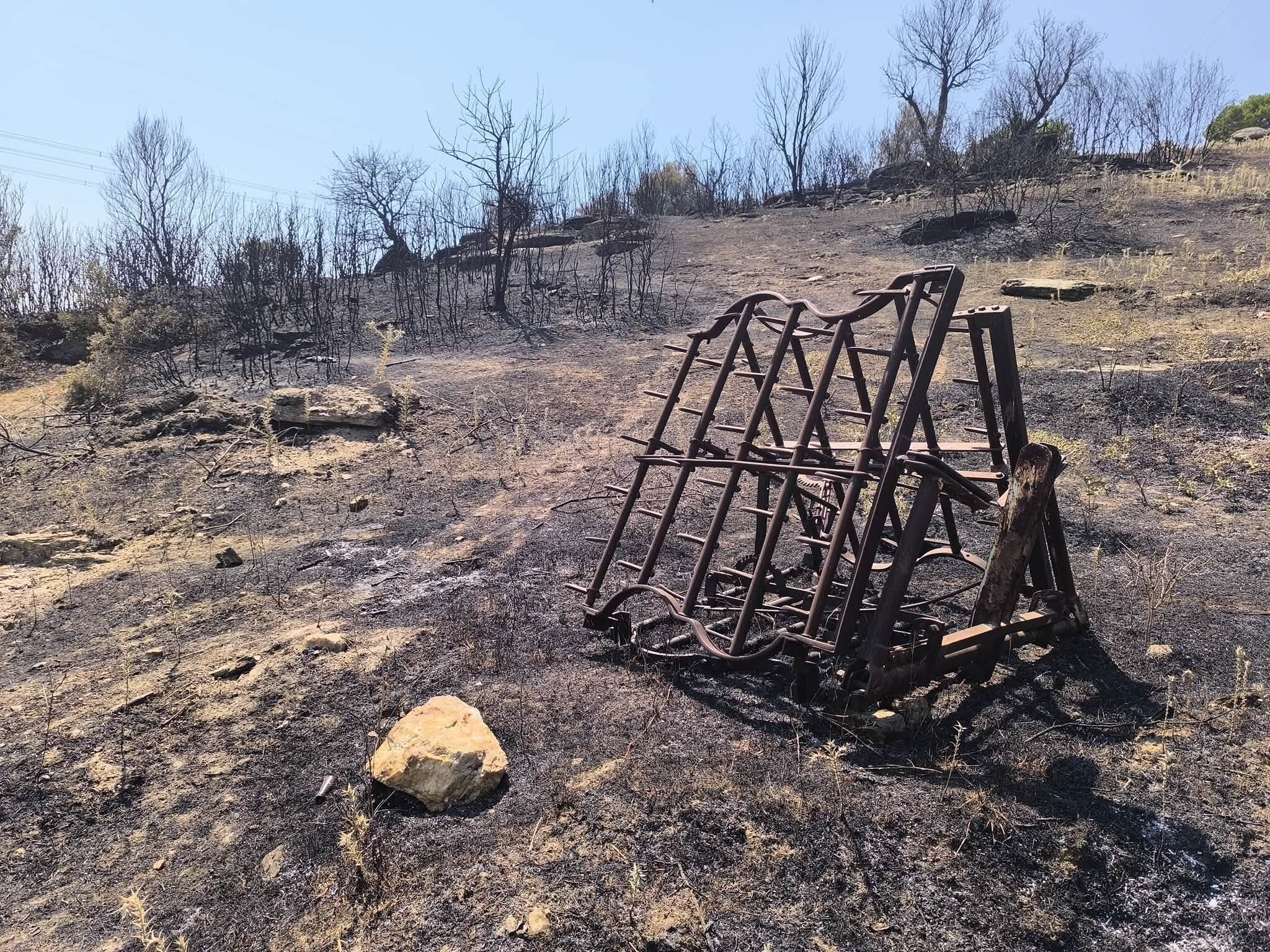 Karakoz Yangin Magduru Ciftciyi Yalniz Birakmadi 675623 D260F1