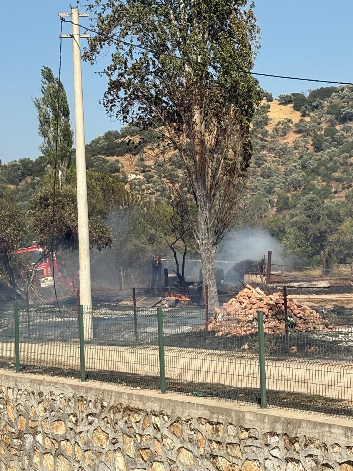 Kocarlida Zeytinlik Yangini Korkuttu 680254 F9286D