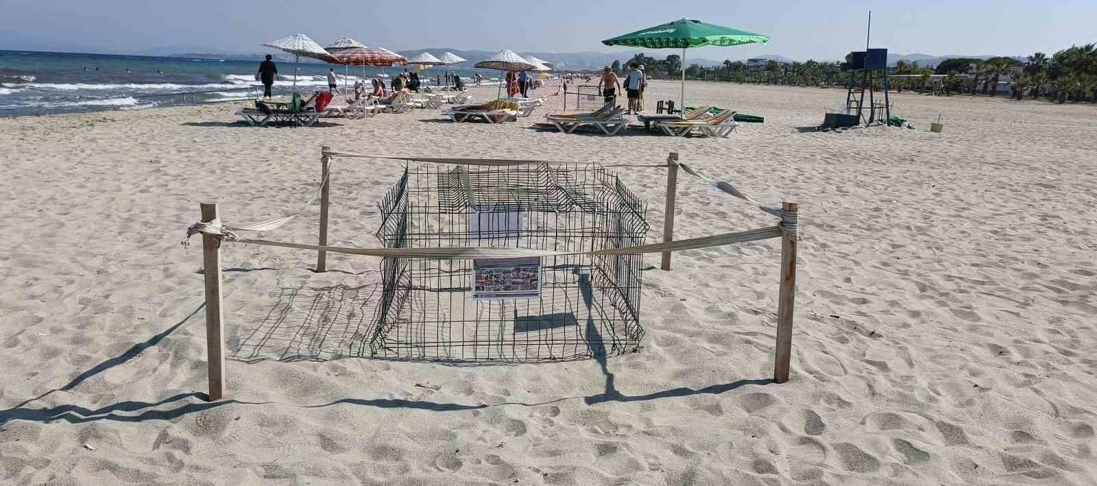 Kusadasi Nda Caretta Carettalardan Umutlandiran Yuva 1783321804193 812355