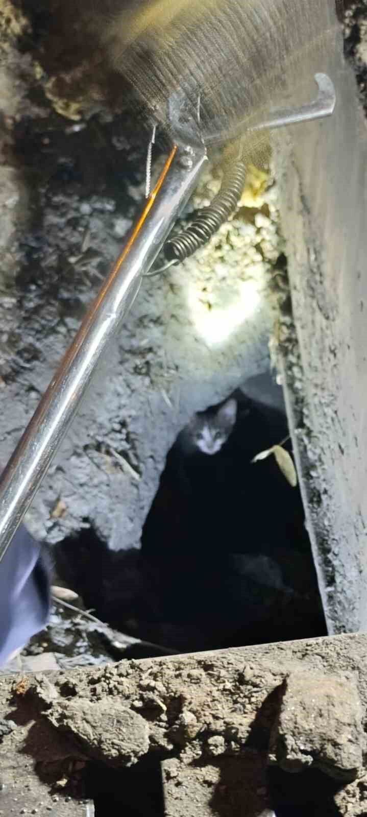 Mazgalda 3 Gun Mahsur Kalan Kedi 2 Saatlik Calismayla Kurtarildi 1783367403903 822825