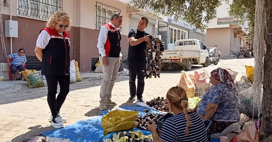 Nazillinin Patlican Vadisi Turkiyeye Deger Katiyor 681931 Dadcc9