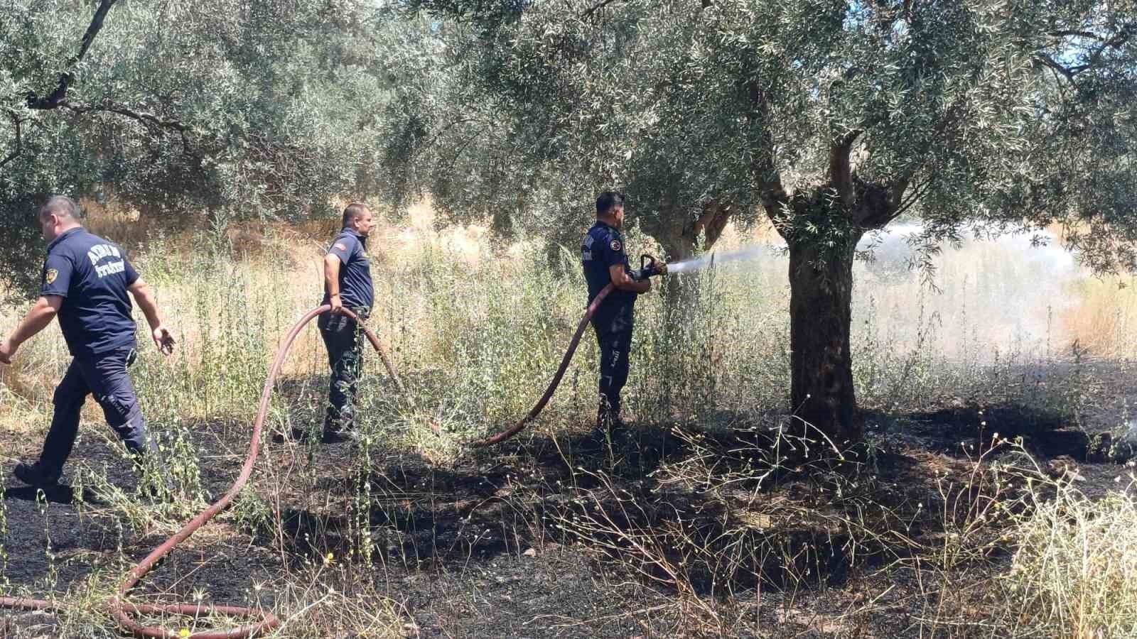 Ot Bicerken Zeytinligi Yakti 1784117412546 189816