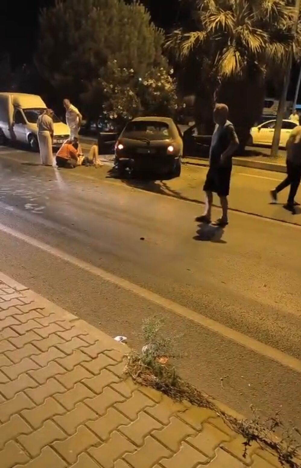 Sokebodrum Yolunda Katliam Gibi Kaza 677215 1E1D50