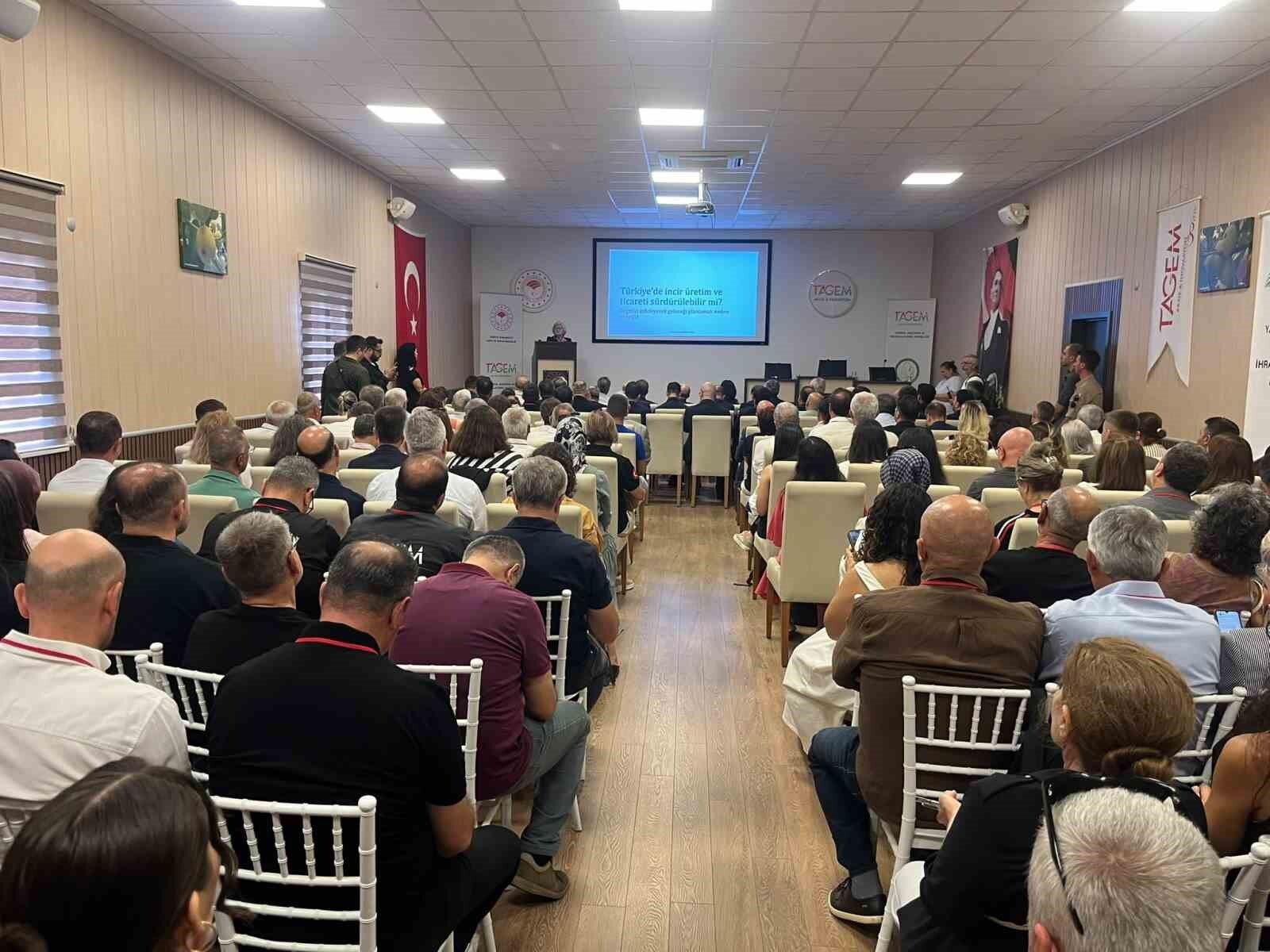 Aydin A 100 Milyonluk Yatirim 1787050804595 695221