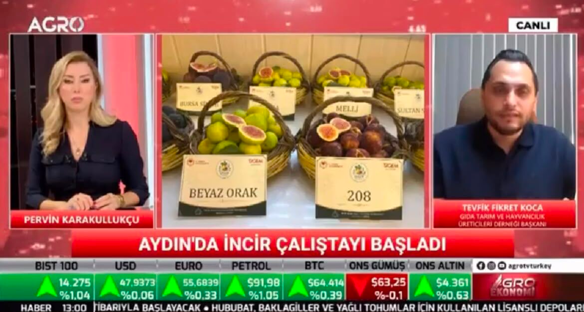 Aydin Incirine 100 Milyon Liralik Destek Tagiad Baskani Kocadan Bakan Yumakliya Hasat Daveti 2