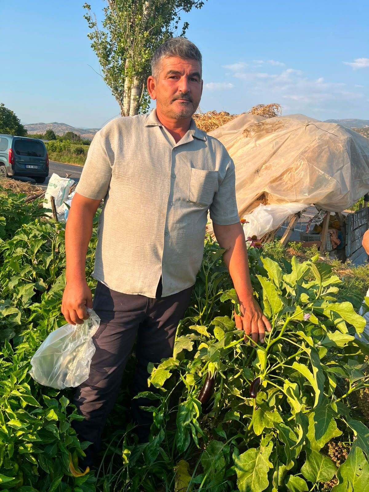 Bozdoganda Tarladan Sofraya Emek Uretici Kazaniyor Vatandas 686696 423E9A