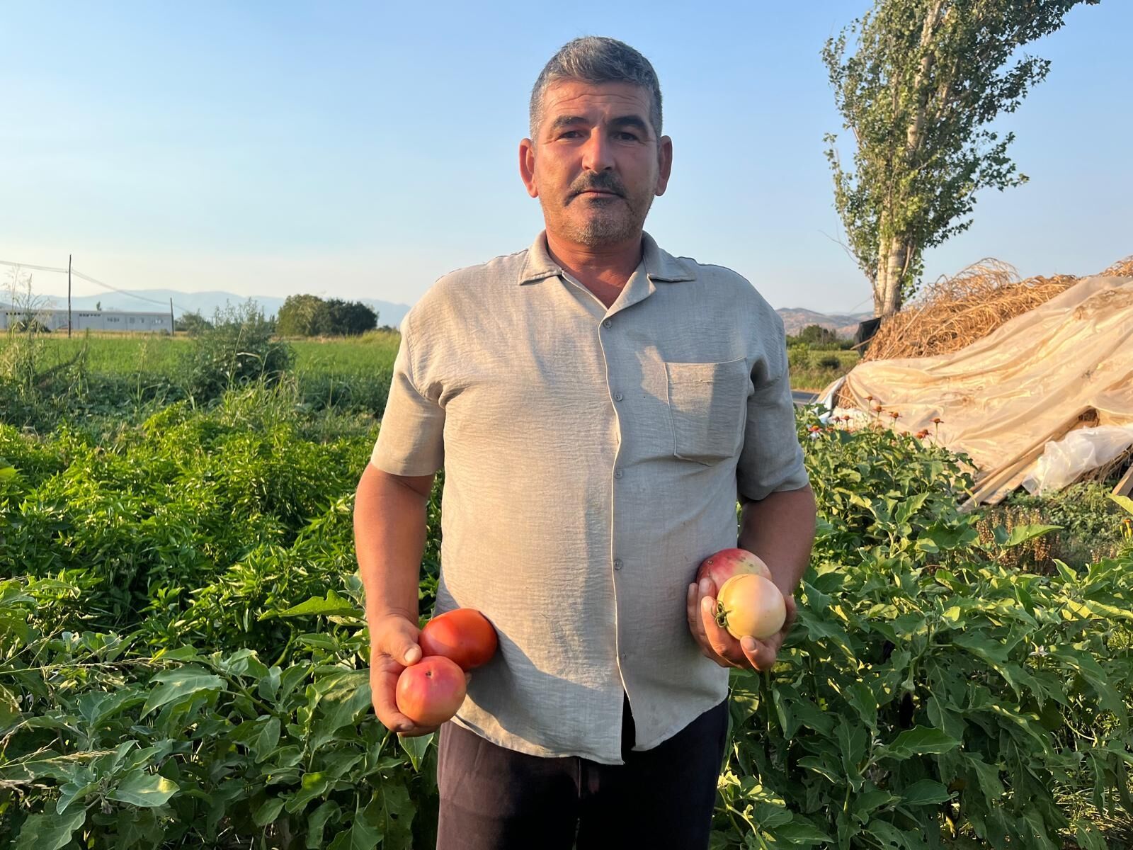 Bozdoganda Tarladan Sofraya Emek Uretici Kazaniyor Vatandas 686696 Ff315C