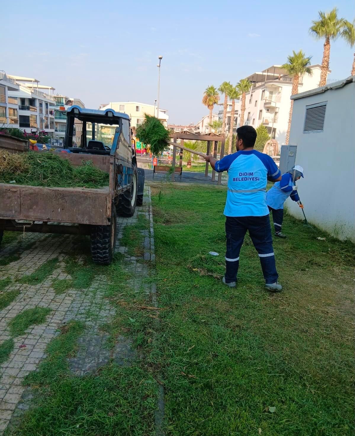 Didim Belediyesinden Kent Genelinde Ot Bicme Calismasi 685753 8E384C