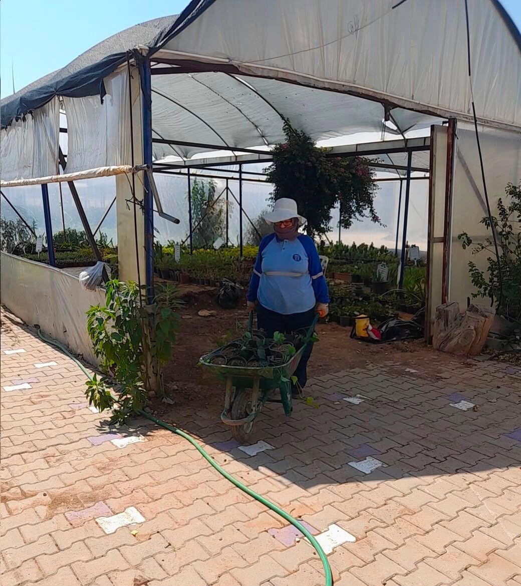Didim Belediyesinden Topraktan Kente Uzanan Uretim 685279 151856