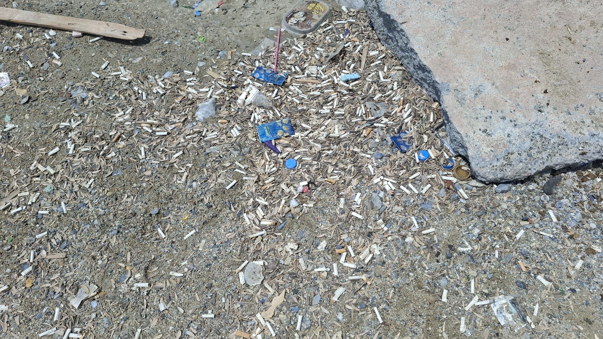 Gelirken Keyif Giderken Cop Rahatligi Kusadasi Sakinlerini C 683318 F4934B