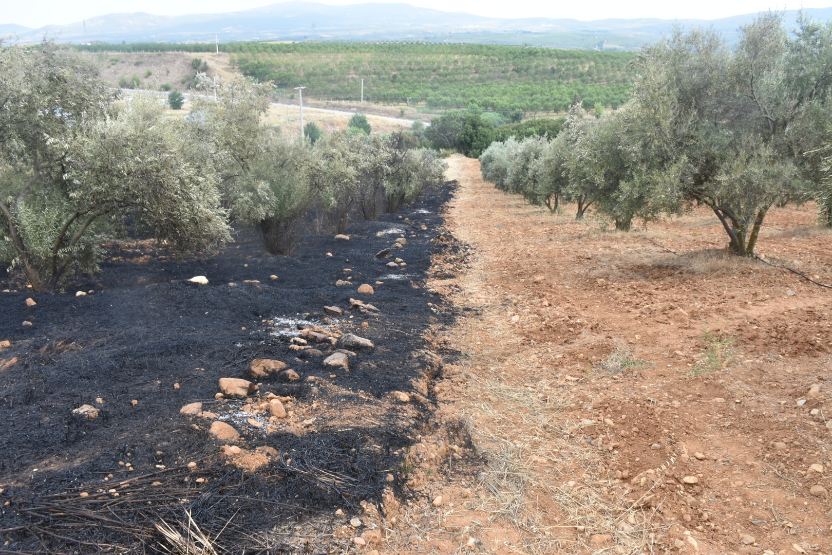 Karacasuda Alevlerin Ortasinda Ders Gibi Goruntu Surulen Tar 684346 51A679