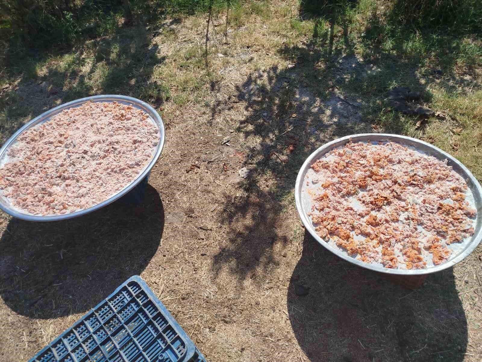 Kosk Bascayir Da Geleneksel Kislik Tarhana Hazirliklari Basladi 1787322902551 633438
