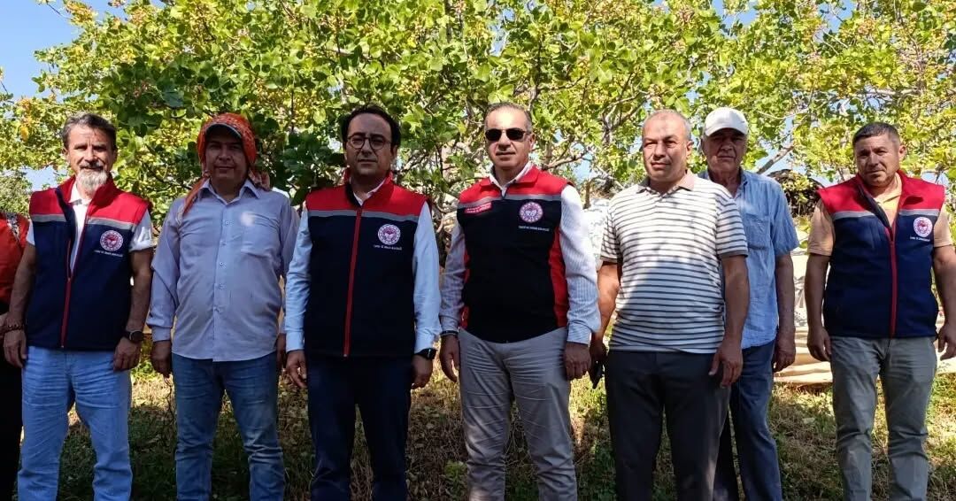 Menengicten Antep Fistigina Yenipazarda 12 Bin 500 Agac Asil 684921 57173E