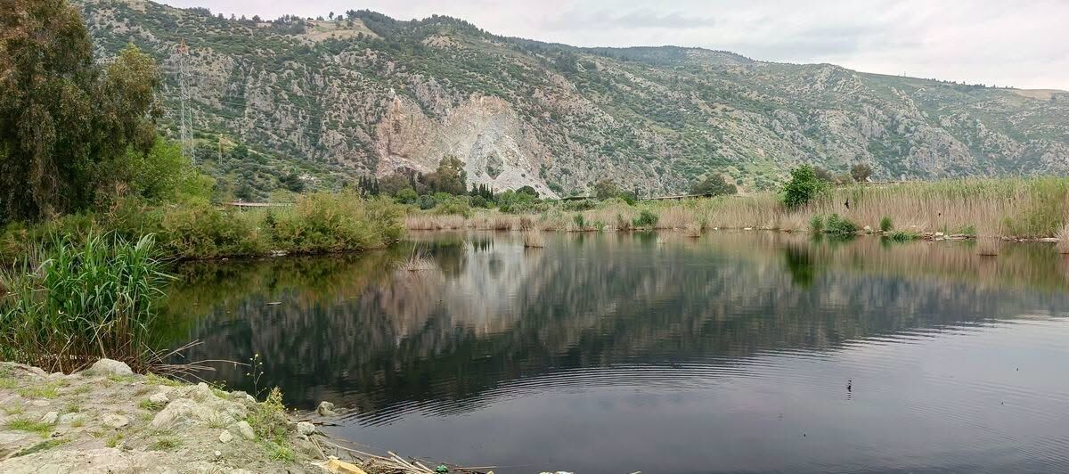 Nadir Gorulen Kara Leylek Yarali Halde Bulundu 686540 C15E01