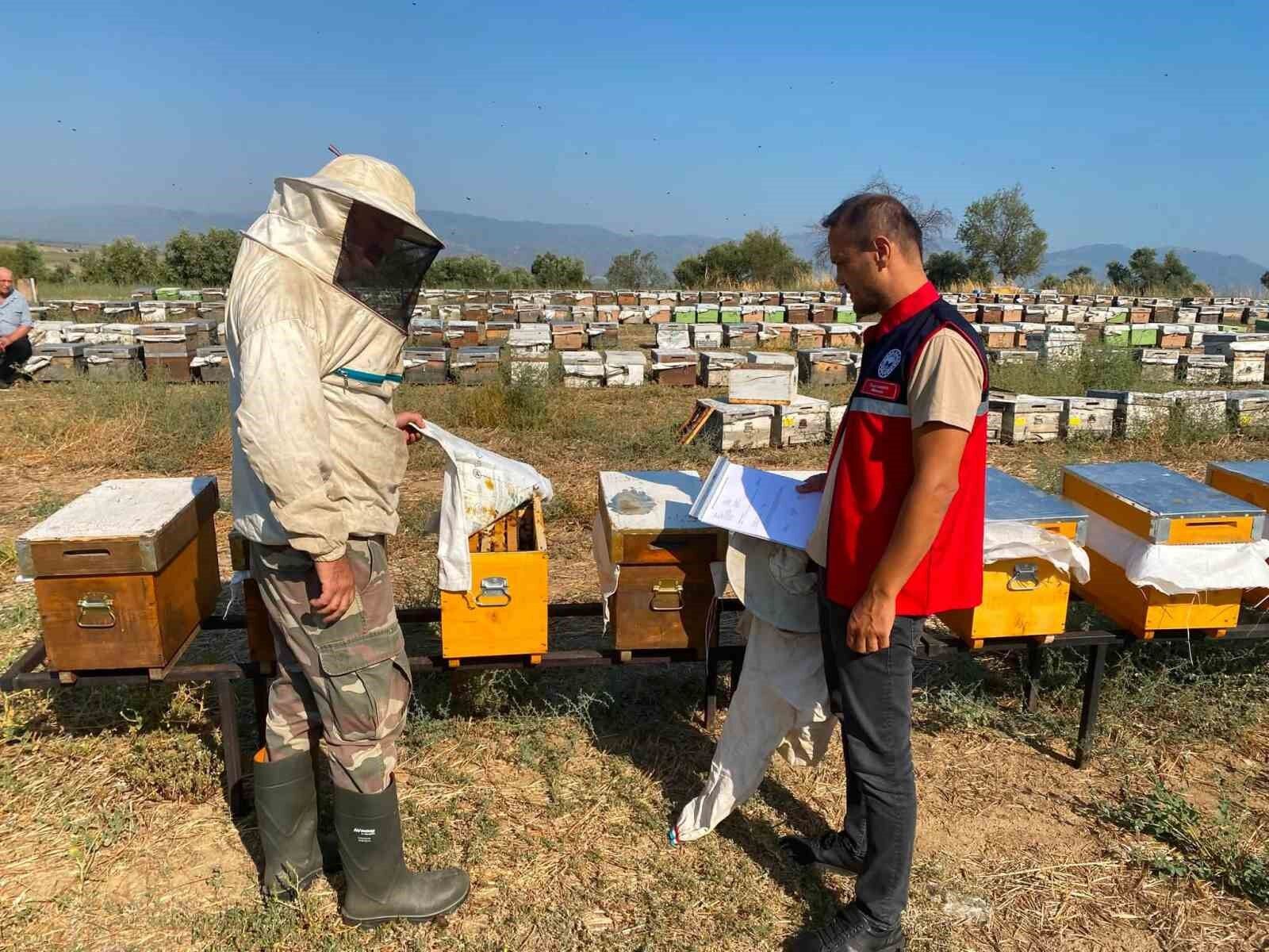 Nazilli De Arili Kovan Tespit Calismalari Suruyor 1787401205718 479346