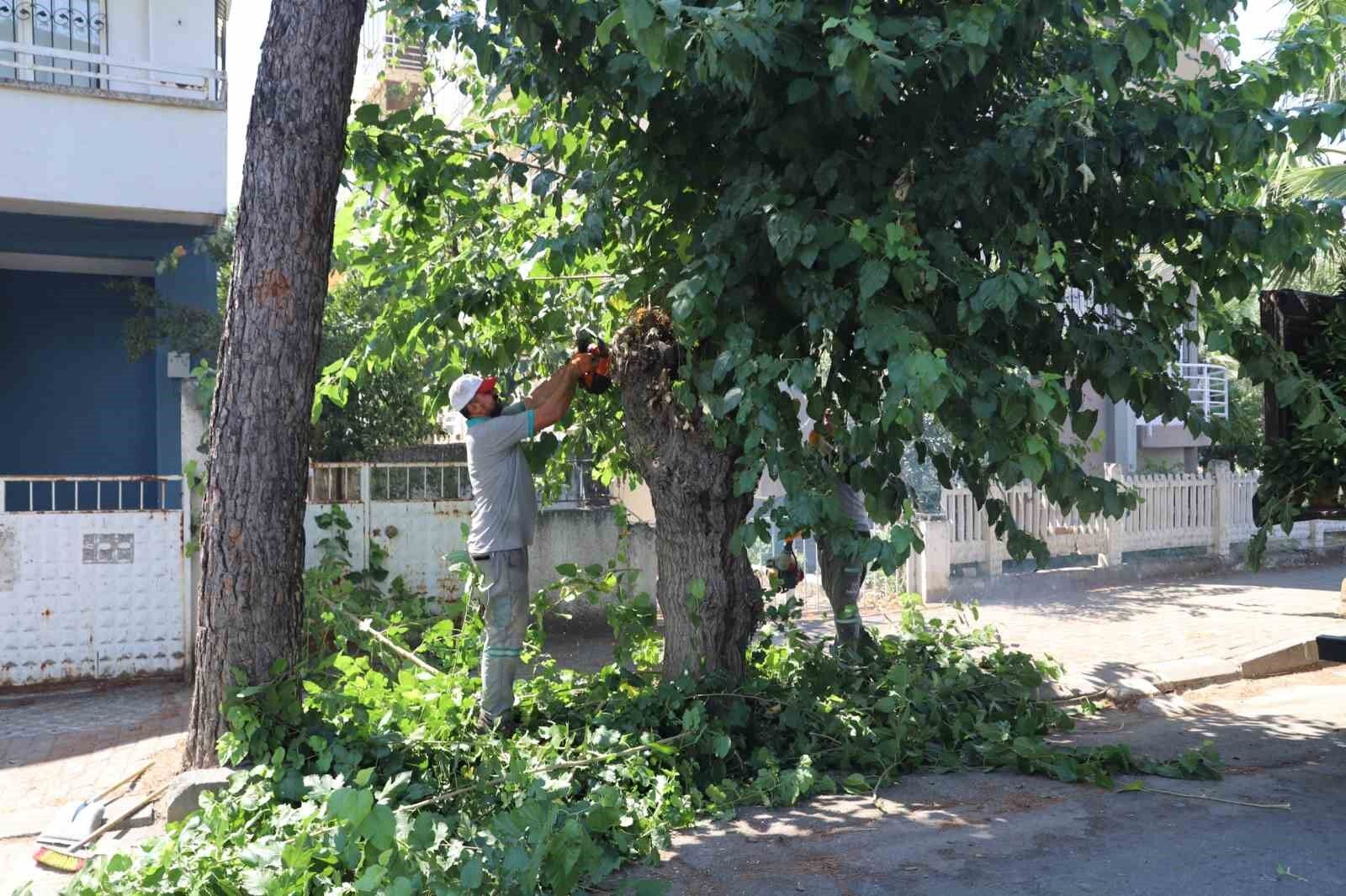 Nazilli De Yesil Alanlarda Sonbahar Hazirligi 1787139908053 251043
