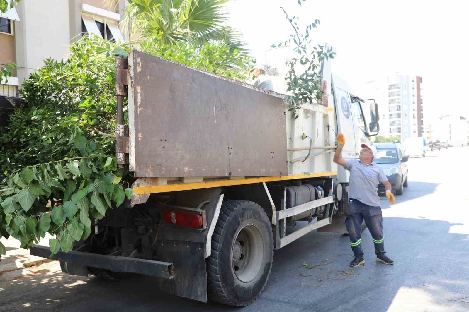 Nazilli De Yesil Alanlarda Sonbahar Hazirligi 1787139908492 279683