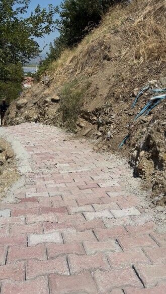 Omer Amcadan Baskan Ariciya Tesekkur Bizi Cehennemden Kurtar 686494 111755