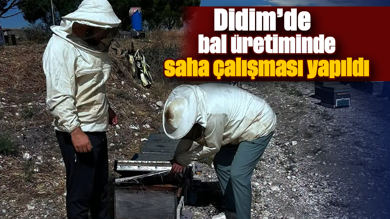 Didim’de bal üretiminde saha çalışması yapıldı