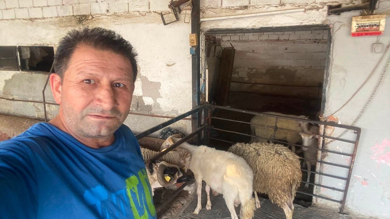 Aydın’da şap hastalığı nedeniyle hayvan pazarları kapatıldı