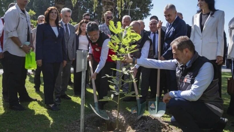 Aydın’daki saksılı fidan görüntüsünün faturası kesildi