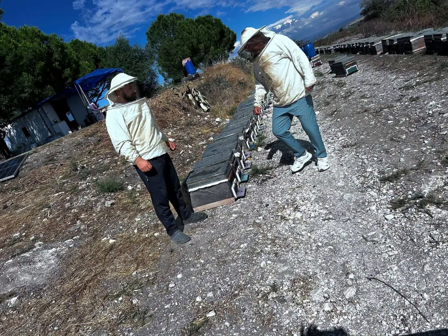 Didim’de bal üretiminde saha çalışması yapıldı