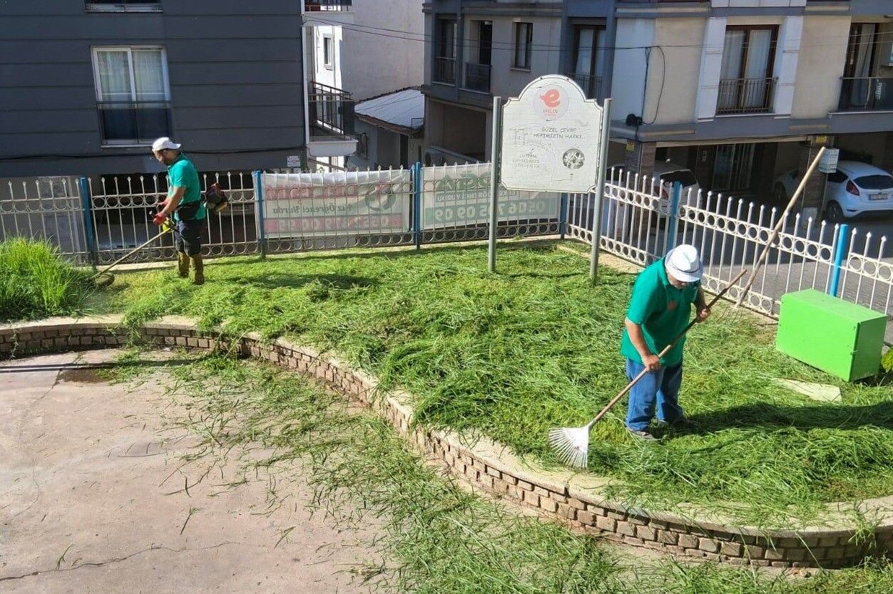Efeler Belediyesi Parklarda Bakim Calismalarini Surduruyor 1788264303271 682311