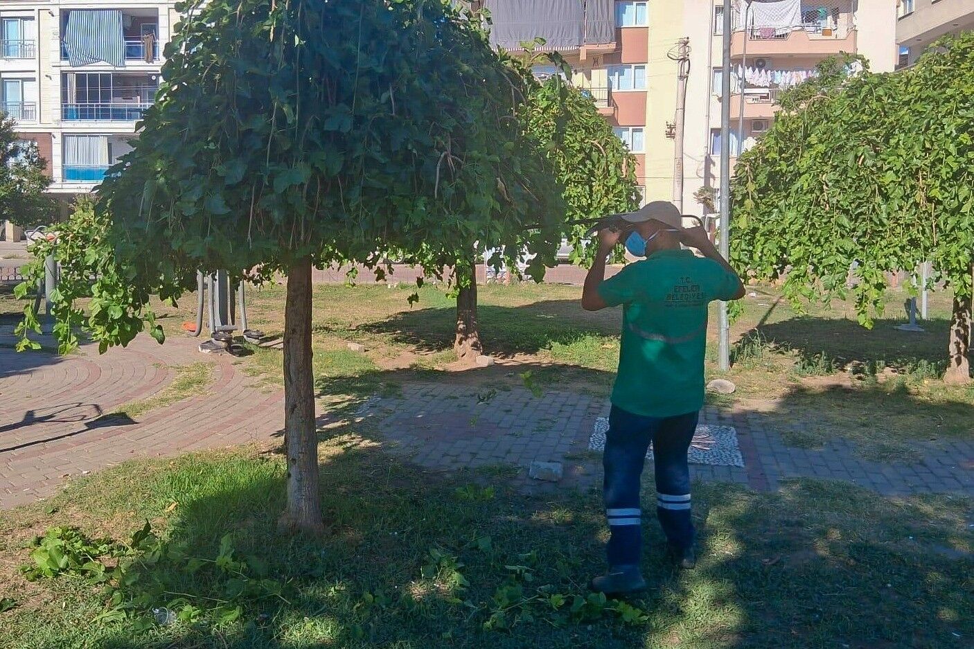 Efeler Belediyesi Parklarda Bakim Calismalarini Surduruyor 1788264303842 674882