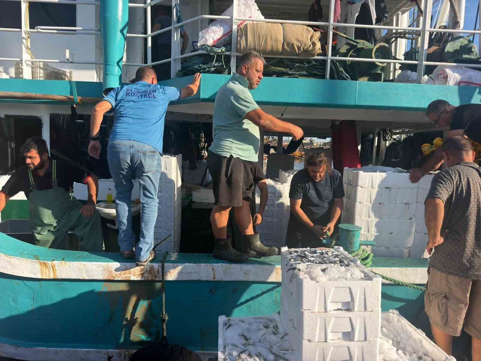 Hamsi Avinda Kota Donemi Basladi Denetimler Suruyor 1789030556717 84010